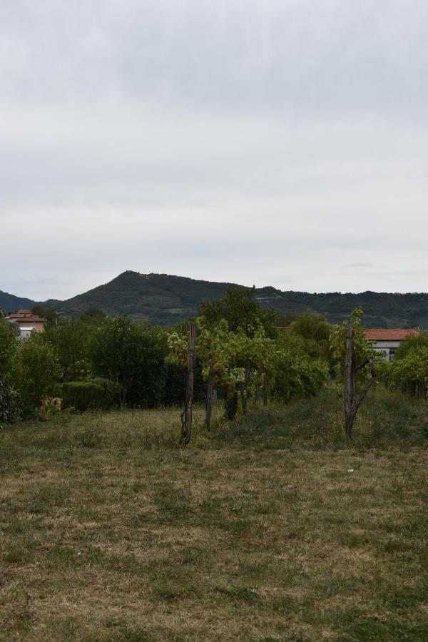 Small House In Vipava Valley Exteriér fotografie